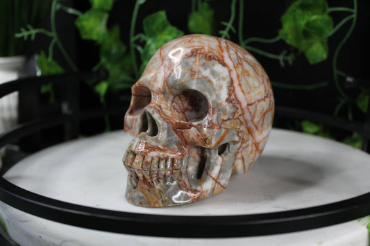 Red Network Jasper Skull