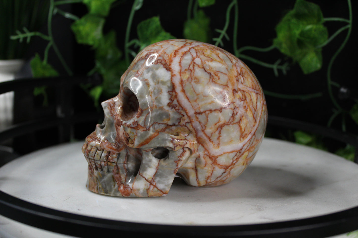 Red Network Jasper Skull