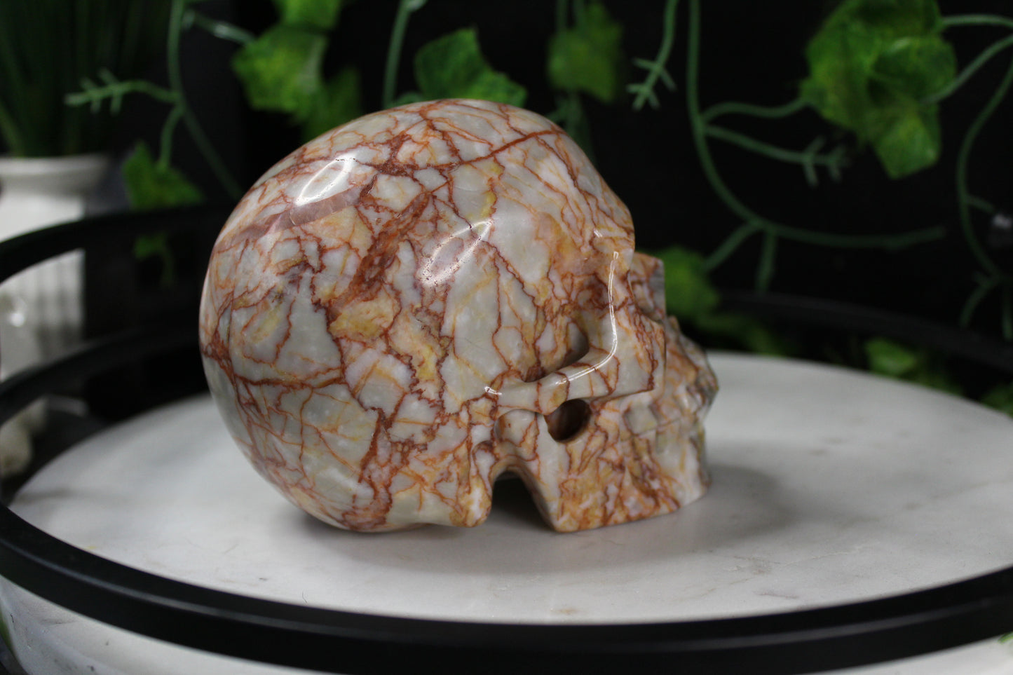 Red Network Jasper Skull