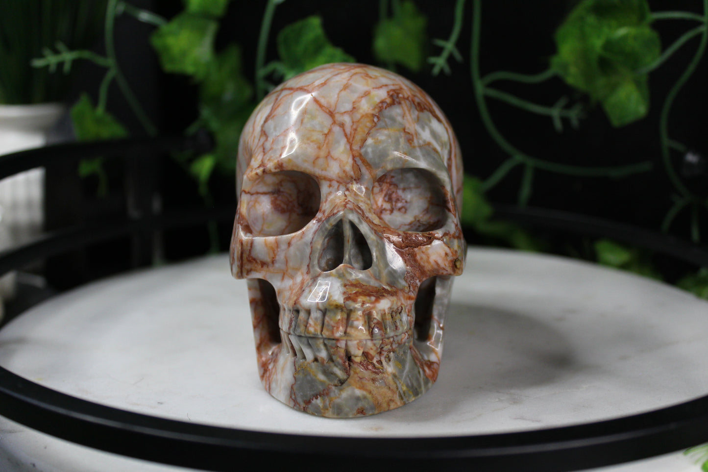 Red Network Jasper Skull