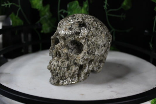 Sandy Ocean Jasper Skull